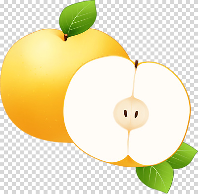 식물 편집이미지 컬러 잎 과일 자연 단면 건강 여름 농장 과자 신선 달콤 사과 비타민 PNG 계절 농업 디저트 맛 생태계 영양소 파일형식