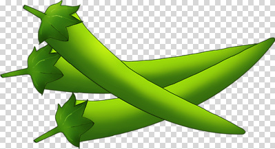 편집이미지 한식 채소 재료 고추 식탁 건강 요리 초록색 농작물 농장 식사 신선 맛 비타민 PNG 음식 컬러 컨셉 농업 탁자 영양소 파일형식