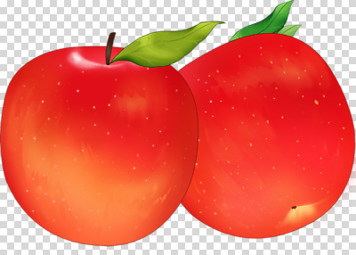 편집이미지 음식 과일 자연 디저트 건강 빨간색 여름 농장 식사 수확 신선 달콤 사과 비타민 PNG 계절 컬러 농업 맛 생태계 영양소 파일형식