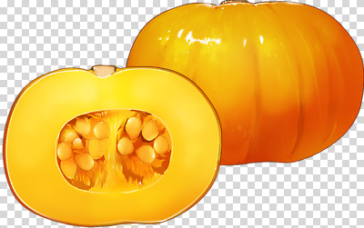 편집이미지 계절 음식 채소 재료 자연 호박 건강 요리 씨앗 농작물 노란색 신선 원예 PNG 식물 컬러 농업 취미 생태계 파일형식