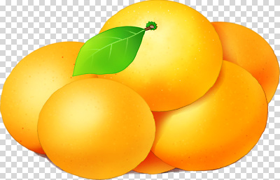 편집이미지 음식 백그라운드 잎 과일 자연 디저트 건강 여름 신선 비타민 PNG 밝은색 비타민C 식물 계절 생태계 영양소 파일형식