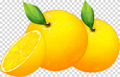편집이미지 음식 조각 잎 과일 자연 디저트 건강 요리 노란색 신선 과일주스 오브젝트 비타민 PNG 과일샐러드 식물 컬러 주스 샐러드 생태계 영양소 파일형식
