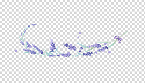 식물 편집이미지 디자인 꽃 줄기 자연 초원 장식 여름 정원 보라색 공간 흰색 신선 라벤더 PNG 계절 컬러 허브 생태계 파일형식
