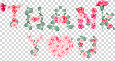 편집이미지 디자인 꽃 예술 사랑 장식 하트 표현 메시지 카네이션 감사 PNG 모양 식물 감정 파일형식