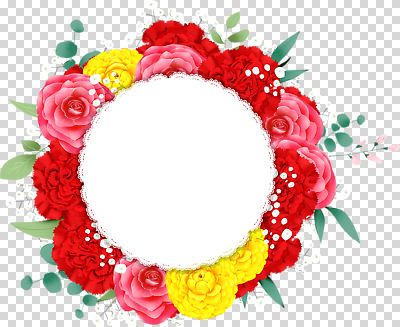 편집이미지 디자인 기념일 꽃 프레임 이벤트 장식 장미 생일 메시지 카네이션 갯벌 PNG 식물 파일형식