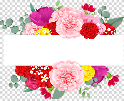 편집이미지 디자인 꽃 백그라운드 장식 빨간색 노란색 공백 화려 메시지 PNG 식물 컬러 컨셉 파일형식