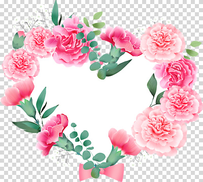 편집이미지 디자인 꽃 예술 분홍색 백그라운드 사랑 장식 뷰티 장미 화환 하트 카네이션 PNG 모양 식물 감정 컬러 파일형식