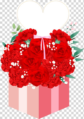 편집이미지 기념일 꽃 분홍색 크리스마스 연꽃 선물 사랑 장식 선물상자 흰색 축하 카네이션 PNG 식물 감정 컬러 컨셉 이벤트 상자 파일형식