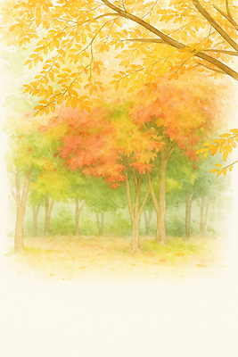 JPG 나무 계절 컬러 여행 단풍 잎 일러스트 자연 풍경 빨간색 초록색 햇빛 노란색 평화 가을풍경 주황색 고요 산책 숲 뷰티풀 국내일러스트 AI일러스트 AI콘텐츠 식물 컨셉 휴식 태양 생태계 파일형식 가을_계절