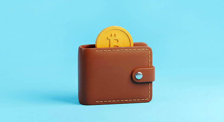 컨셉 돈 비즈니스 금융 경제 파란색 3D 파일형식 4차산업 가상화폐 지갑 동전 가죽 디지털 재산 투자 스테이블코인 백그라운드 하늘색 혁명 편집3D 편집이미지 JPG 블록체인