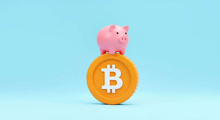 교육 컨셉 돈 비즈니스 포유류 금융 경제 3D 저축 재산 파일형식 4차산업 가상화폐 저금통 돼지 투자 동전 백그라운드 귀여움 상징 경제교육 재테크 컬러 편집3D 편집이미지 JPG 디지털 블록체인