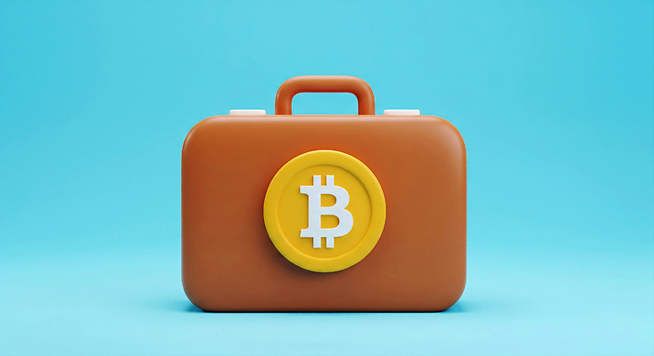 문자 잡화 컬러 돈 비즈니스 금융 경제 3D 파일형식 4차산업 가상화폐 가방 갈색 심볼 백그라운드 파란색 디지털 기호 상징 투자 스테이블코인 편집3D 편집이미지 JPG 블록체인