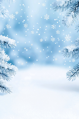 자연요소 식물 편집이미지 계절 백그라운드 컨셉 날씨 눈_날씨 파란색 생태계 파일형식 겨울 나무 풍경 눈송이 파란배경 고요 차분 자연 뷰티풀 신비 조용 JPG 눈내림 눈 이미지편집