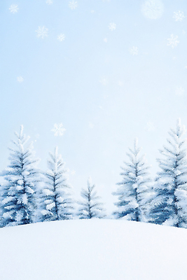 자연요소 식물 편집이미지 계절 컬러 컨셉 겨울 날씨 눈_날씨 풍경 생태계 파일형식 나무 숲 겨울풍경 흰색 뷰티풀 평화 자연 조용 흰눈 눈송이 추위 JPG 눈내림 눈 이미지편집