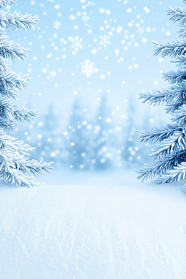 자연요소 식물 편집이미지 계절 컬러 날씨 눈_날씨 생태계 파일형식 겨울 풍경 숲 나무 고요 눈송이 흰색 자연 추위 야외 뷰티풀 JPG 눈내림 눈 이미지편집