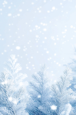 자연요소 편집이미지 계절 컨셉 겨울 날씨 눈_날씨 풍경 태양 생태계 파일형식 눈송이 숲 상록수 평화 자연 고요 겨울풍경 소리 차가움 햇빛 하늘 JPG 눈내림 눈 이미지편집