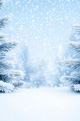 자연요소 나무 편집이미지 계절 길 컨셉 날씨 눈_날씨 생태계 파일형식 겨울 소나무 풍경 자연 산책로 평화 고요 숲 그늘 JPG 눈내림 눈 이미지편집