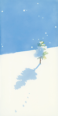 자연요소 식물 계절 감정 컬러 날씨 눈_날씨 태양 생태계 파일형식 겨울 나무 하늘 풍경 그림자 자연 파란색 흰색 고독 뷰티풀 산 신선 눈송이 햇빛 따뜻함 고요 숲 JPG 국내일러스트 일러스트 눈