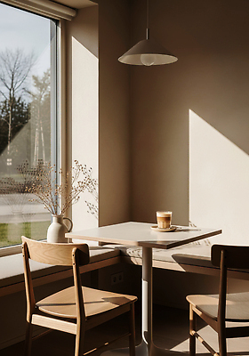 식물 디자인 꽃 음료 가구 컨셉 창문 라이프 태양 상점 감각 CG 파일형식 카페 커피 탁자 의자 창가 햇빛 꽃병 편안함 분위기 나무 따뜻함 휴식 일상 편집실사 편집이미지 JPG 인테리어