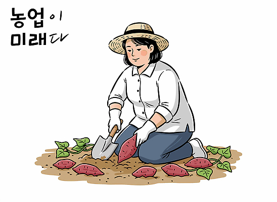 손 여자 농업 채소 일러스트 자연 미래 건강 농작물 햇빛 농사 흙 수확 농촌 작업 땅 고구마 노력 수확철 국내일러스트 AI파일 산업 컨셉 뿌리채소 사람 신체부위 태양 시골 생태계 파일형식 벡터