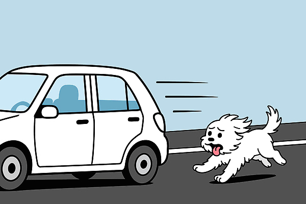 도로 이동 일러스트 모션 자동차 하늘 생명 사람 풍경 반려동물 달리기 자유 흰색 도시 개 즐거움 속도 추적 국내일러스트 AI파일 동물 감정 길 육상교통 컬러 컨셉 포유류 교통시설 파일형식 벡터