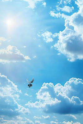 동물 컬러 컨셉 날씨 라이프 태양 CG 생태계 파일형식 하늘 조류 비행 자연 자유 햇빛 파란색 풍경 맑음 뷰티풀 고요 평화 일상 편집실사 편집이미지 JPG