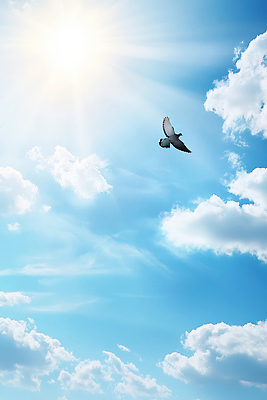 동물 컬러 컨셉 파란색 태양 CG 생태계 파일형식 조류 하늘 햇빛 자연 비행 뷰티풀 공간 자유 하늘색 순간 풍경 조화 편집실사 편집이미지 JPG