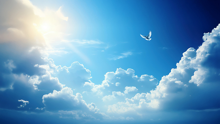 자연요소 동물 컨셉 날씨 태양 CG 생태계 파일형식 조류 비행 햇빛 평화 자연 풍경 자유 뷰티풀 하늘 맑음 새벽 편집실사 편집이미지 JPG