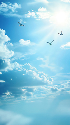 동물 컬러 컨셉 날씨 태양 CG 생태계 파일형식 하늘 조류 파란색 햇빛 풍경 자연 자유 맑음 비행 뷰티풀 편집실사 편집이미지 JPG