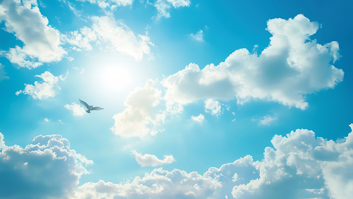 자연요소 계절 항공교통 대중교통 태양 CG 생태계 파일형식 하늘 비행기 햇빛 날씨 여행 비행 공중 대기 자연 풍경 청명 여름 편집실사 편집이미지 JPG