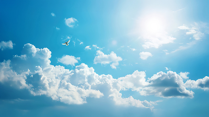 동물 컨셉 태양 CG 생태계 파일형식 햇빛 조류 자연 풍경 야외 자유 비행 평화 날씨 시원함 하늘 수평선 편집실사 편집이미지 JPG