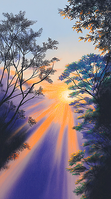 주간 자연요소 식물 계절 컬러 컨셉 태양 노을 생태계 파일형식 햇빛 나무 숲 아침 풍경 자연 일출 고요 하늘 빛 광선 파란색 여름 새벽 잎 뷰티풀 조용 평화 국내일러스트 일러스트 JPG