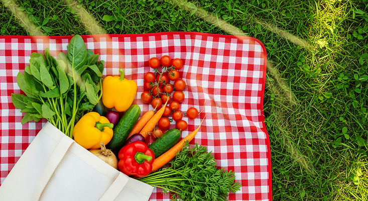 식물 음식 농업 가방 태양 야외활동 CG 에코 생태계 파일형식 소풍 농작물 채소 과일 에코백 잔디 햇빛 자연 신선 식사 야외 건강식 장보기 편집이미지 편집실사 JPG