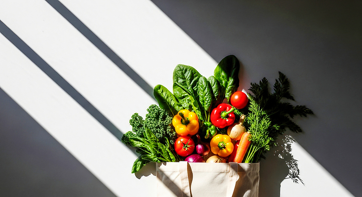 웰빙 농업 태양 CG 생태계 파일형식 채소 과일 바구니 신선 그늘 햇빛 컬러 공간 자연 농작물 건강 유기농 방안 편집이미지 편집실사 JPG