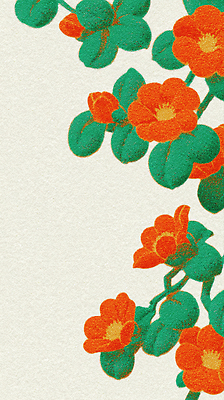 식물 시선 꽃 컬러 생태계 파일형식 잎 파란색 디자인 백그라운드 조화 따뜻함 색채 자연 응시 예술 뷰티풀 스타일 장식 모던 국내일러스트 일러스트 JPG 동백