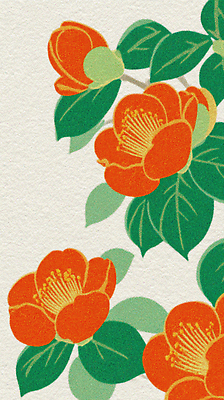 식물 계절 꽃 컨셉 무늬 모션 생태계 파일형식 오렌지꽃 자연 여름 생동감 화려 뷰티풀 컬러 장식 패턴 조화 감상 관찰 디자인 감정 국내일러스트 일러스트 JPG 동백