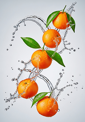 주간 계절 과일 CG 생태계 영양소 파일형식 물방울 신선 생동감 수분_꽃가루 중력 자연 건강 아침 비타민 식사 장식 여름 편집실사 편집이미지 JPG 귤