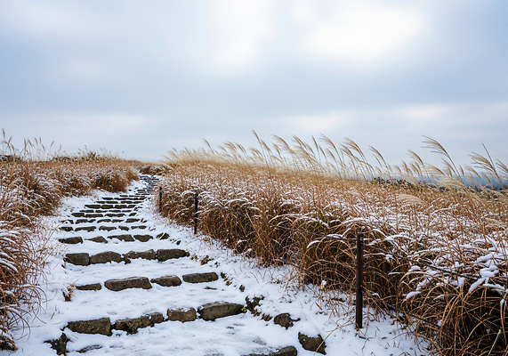 자연요소 계절 길 날씨 한국 CG 생태계 파일형식 겨울 산책로 계단 바람 풍경 자연 여행 고요 하늘 뷰티풀 차가움 편집실사 편집이미지 JPG 눈 제주도