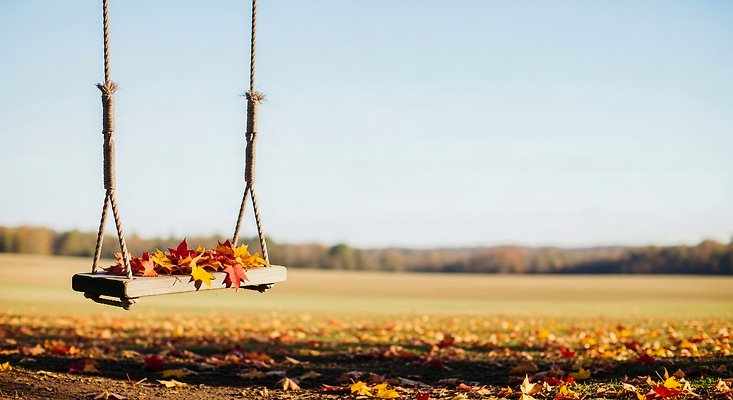 자연요소 계절 감정 컨셉 잎 사람 풍경 CG 생태계 파일형식 그네 단풍 나뭇잎 초원 자연 경관 놀이 어린이 여유 외출 평화 사계절 노을 편집실사 편집이미지 JPG
