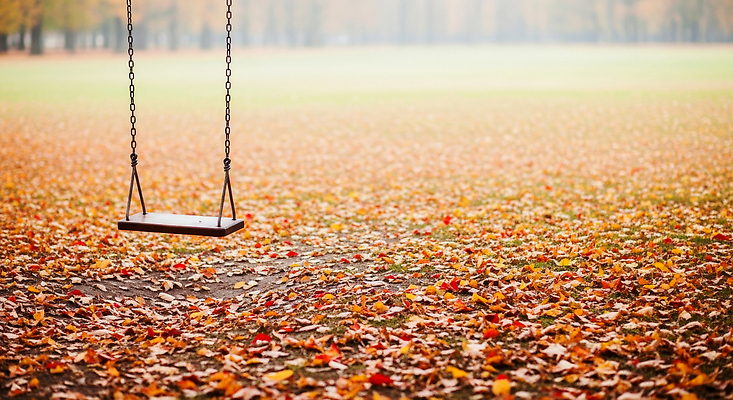 식물 공공시설 잎 놀이 건강 CG 생태계 파일형식 단풍 공원 그네 나뭇잎 고요 자연 풍경 운동 취미 놀이터 뷰티풀 낙엽 편집실사 편집이미지 JPG