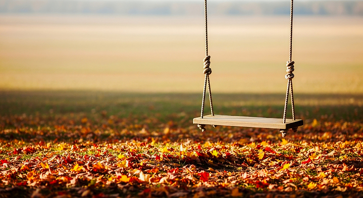 자연요소 식물 감정 컨셉 잎 날씨 태양 CG 생태계 파일형식 그네 단풍 잔디 자연 평화 풍경 여유 노을 햇빛 숲 소리 바람 휴식 나무 편집실사 편집이미지 JPG