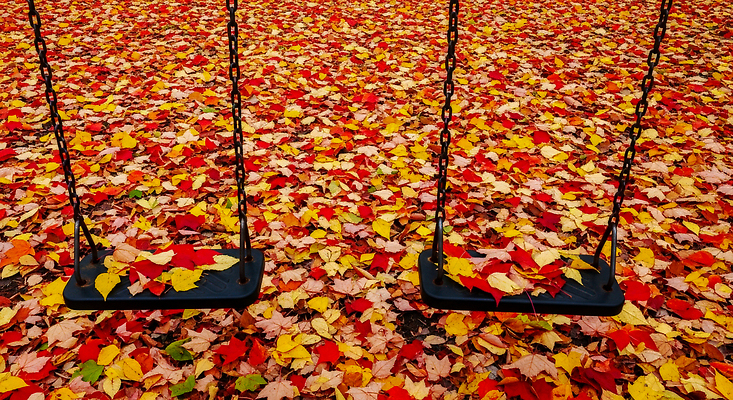 식물 컨셉 잎 놀이 사람 CG 생태계 파일형식 나뭇잎 그네 놀이터 자연 풍경 어린이 평화 컬러 잔디 모션 바닥 편집실사 편집이미지 JPG