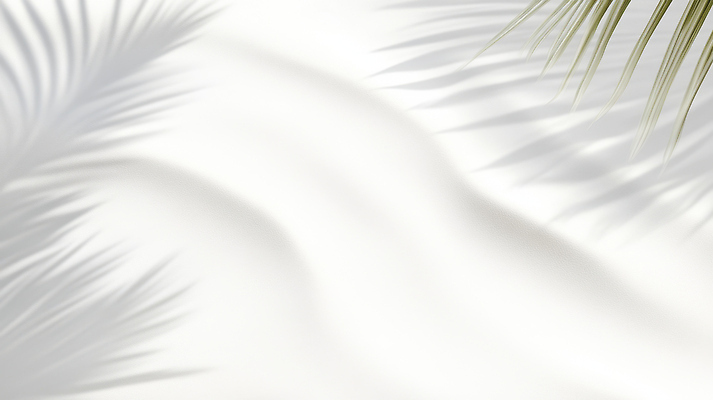 JPG 편집이미지 모래 바다 잎 자연 휴식 열대 그림자 풍경 해변 여름 야자수 햇빛 갈색 평화 부드러움 조화 편집실사 AI포토 AI콘텐츠 나무 식물 계절 컬러 컨셉 태양 감각 CG 생태계 파일형식