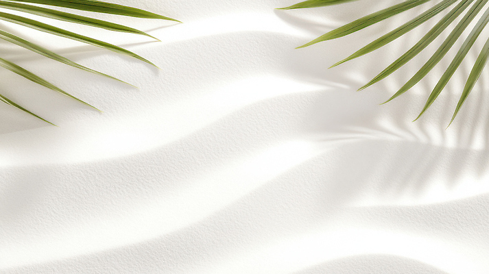 JPG 식물 편집이미지 디자인 예술 줄기 백그라운드 잎 자연 그림자 인테리어 햇빛 공간 흰색 분위기 시원함 부드러움 편집실사 AI포토 AI콘텐츠 컬러 컨셉 태양 감각 CG 생태계 파일형식