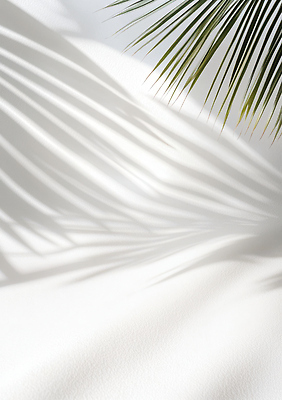 JPG 편집이미지 컬러 잎 자연 바람 휴식 나뭇잎 열대 따뜻함 그림자 풍경 해변 여름 햇빛 평화 조용 편집실사 AI포토 AI콘텐츠 자연요소 식물 계절 바다 컨셉 날씨 태양 CG 생태계 파일형식