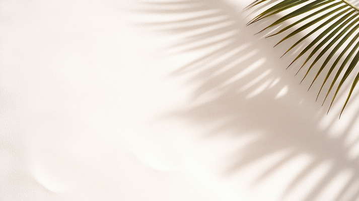 JPG 편집이미지 백그라운드 잎 자연 휴가 휴식 따뜻함 그림자 일상 장식 여름 야자수 평화 편안함 휴양지 편집실사 AI포토 AI콘텐츠 나무 식물 계절 컨셉 라이프 장소 감각 CG 생태계 파일형식