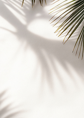 JPG 식물 편집이미지 여유 잎 자연 벽면 그림자 여름 빛 야자수 햇빛 평화 공간 흰색 편안함 심플 편집실사 AI포토 AI콘텐츠 나무 계절 감정 벽 컬러 컨셉 태양 감각 CG 생태계 파일형식