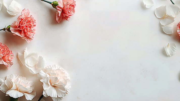 식물 꽃 가구 컨셉 감각 CG 생태계 파일형식 카네이션 화사함 백그라운드 자연 부드러움 컬러 조화 꽃잎 편안함 장식 생화 뷰티풀 평화 탁자 편집실사 편집이미지 JPG 프레임