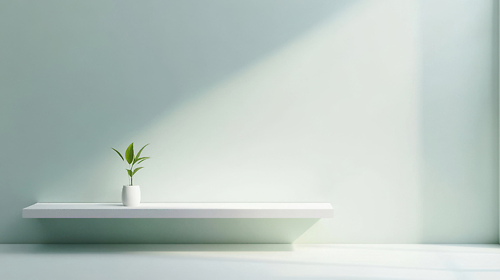 식물 편집이미지 디자인 컬러 컨셉 내부 태양 생태계 파일형식 실내 나무 화분 햇빛 조명 깨끗함 심플 공간 인테리어 자연 초록색 JPG 이미지편집