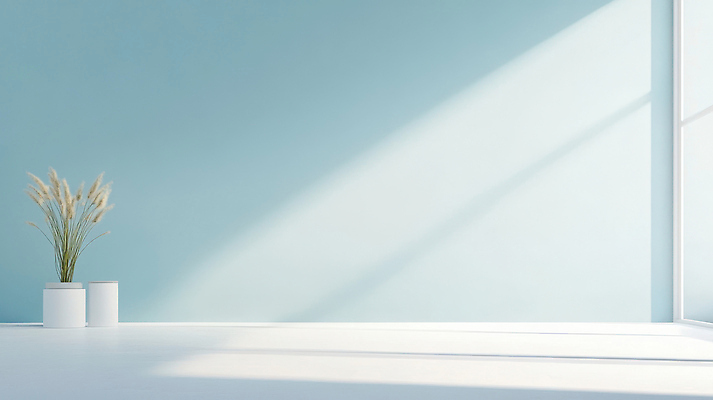 편집이미지 디자인 태양 생태계 파일형식 방 벽 햇빛 화분 식물 바닥 창문 공간 밝음 자연 조화 인테리어 JPG 이미지편집